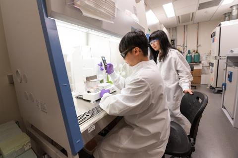 Researchers in Nga Lee (Sally) Ng's lab. Photo by Joya Chapman
