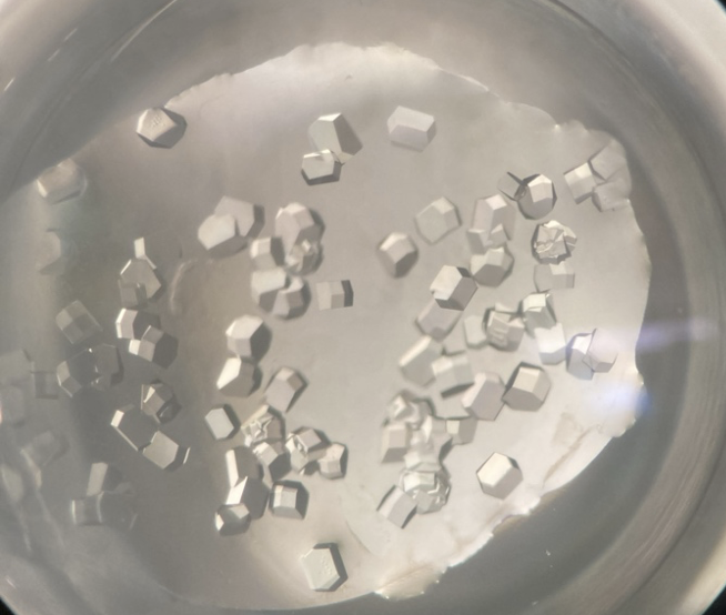 Crystals obtained by high school students for Lysozyme – an antimicrobial protein present in tears and saliva. Photo Credit: Dustin Huard