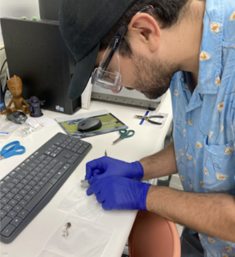 Post-doctoral researcher Dan Vallejo prepares a loom fiber sample for scanning electron microscopy.
