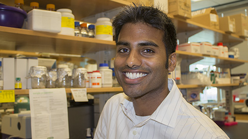 Amit Reddi, associate professor, School of Chemistry and Biochemistry