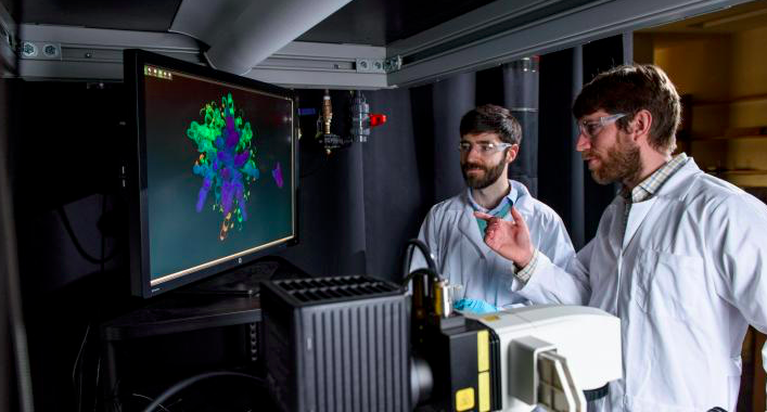 Specialized Cells or Multicellular Multitaskers? New Study Reshapes ...
