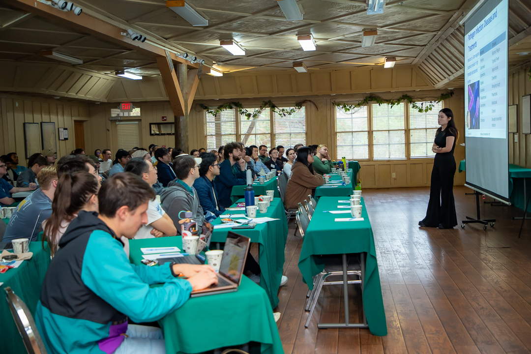 students in a presentation