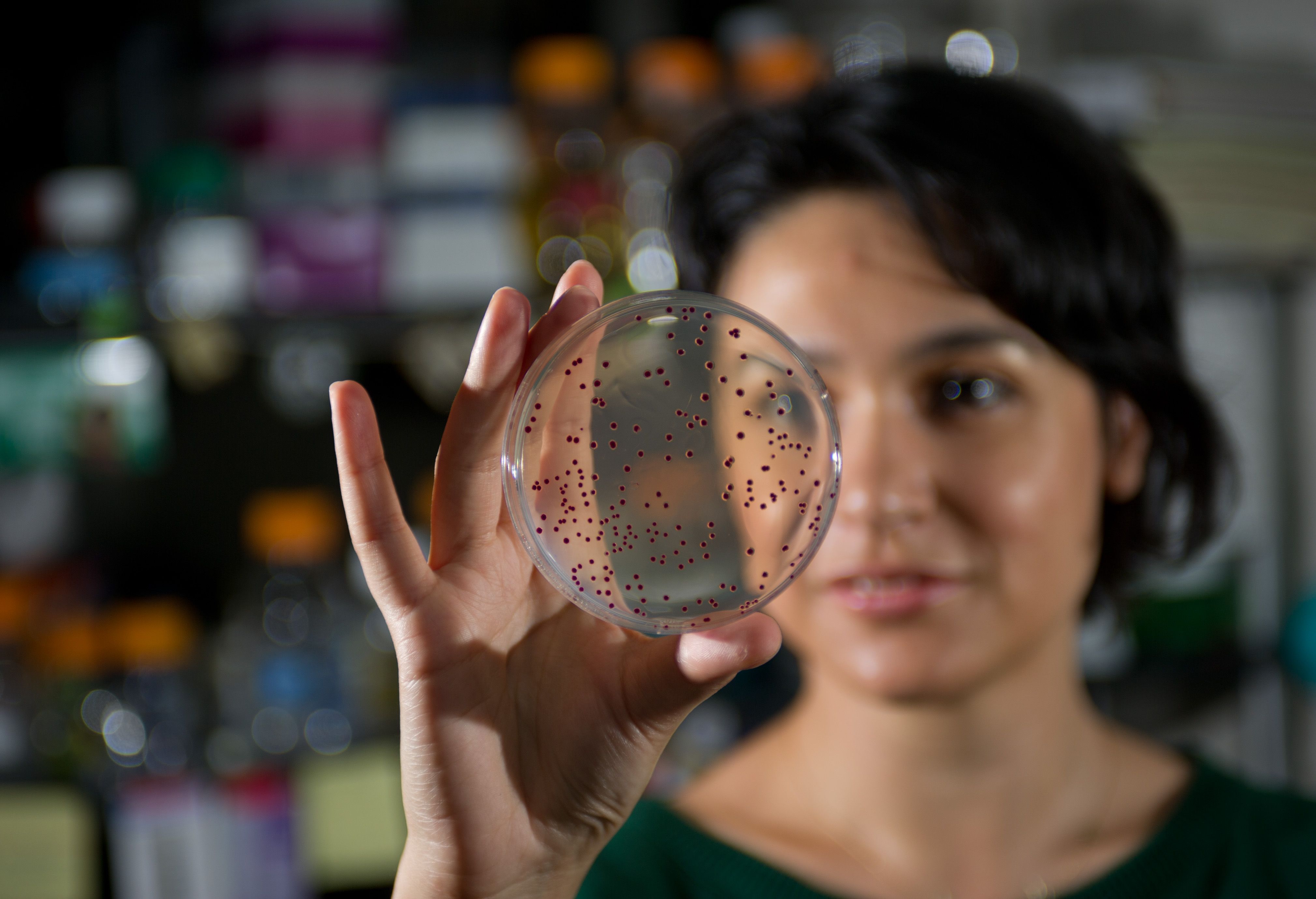 Reseracher looking at her petri dish