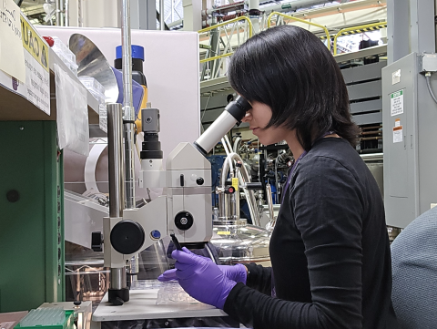 Susanna Huang at work at the microscope at LBNL.