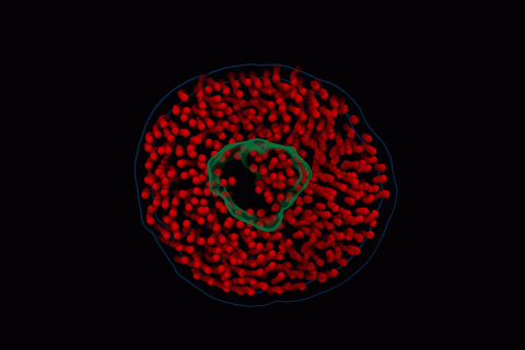 A computational model, based on raw video from electron videography, showing the motion of a nanodisc composed of lipids (red) and a membrane protein (green) in water.GIF courtesy of John W. Smith