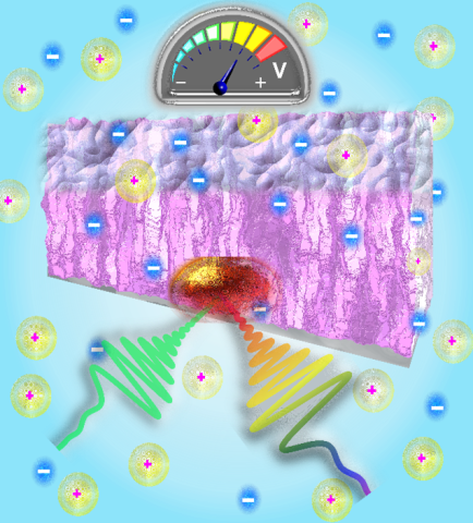The above schematic illustrates a conjugated polymer film in an electrochemical cell. The film is imbibed with a variety of charged species – both electronic and ionic. The increasing applied potential (shown as a voltage dial) triggers a redox process that changes the charge density in the polymer. The authors investigate the changes occurring in the polymer throughout the redox process using sophisticated optical technique involving two lasers – one that is a single energy to excite the sample (green 